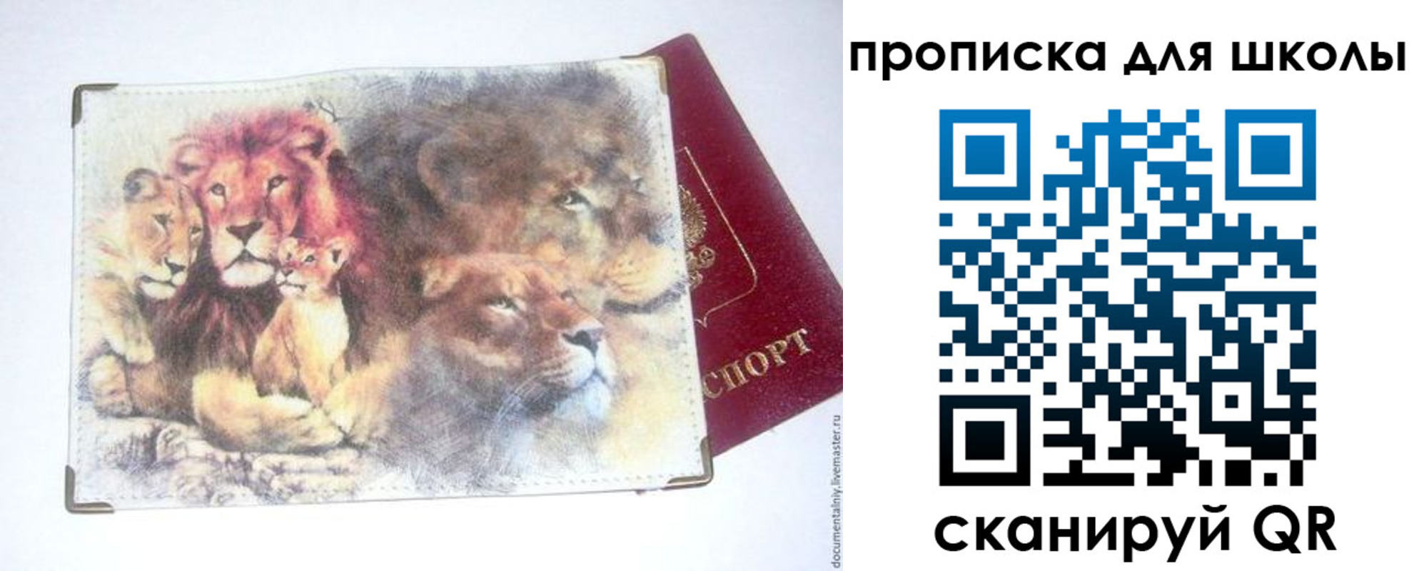 временная регистрация гарантия в Архангельске